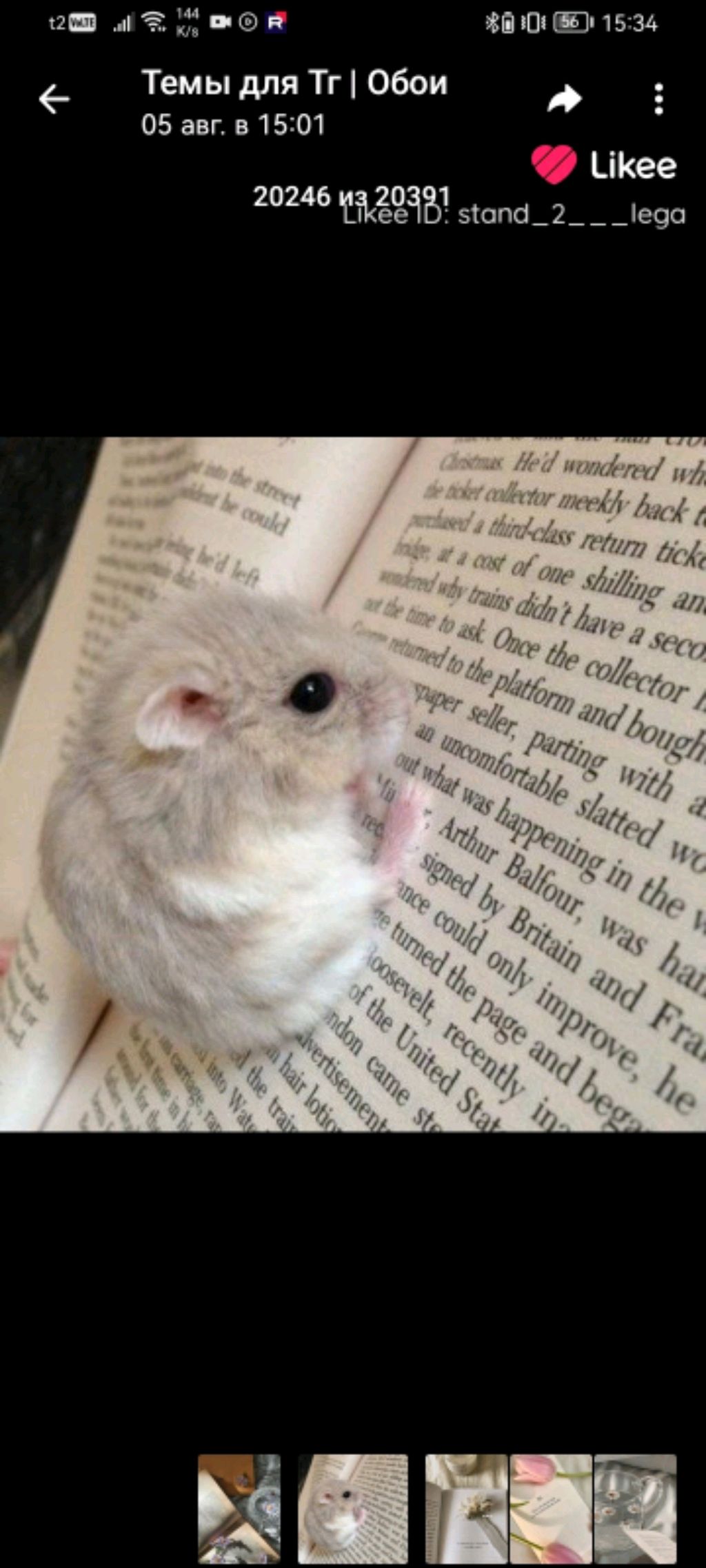 уборка с петей