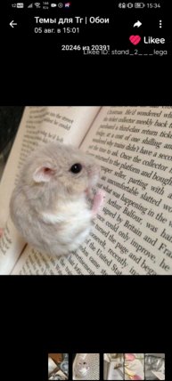 уборка с петей