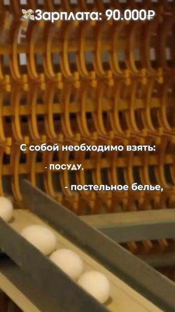 Работа вахтой