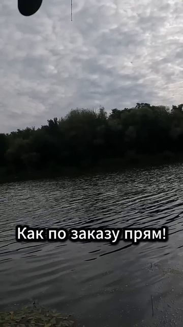 Epic Fail или как слить щуку с руку #norstream #fishing #рыбалка #new #video #юмор #приколы