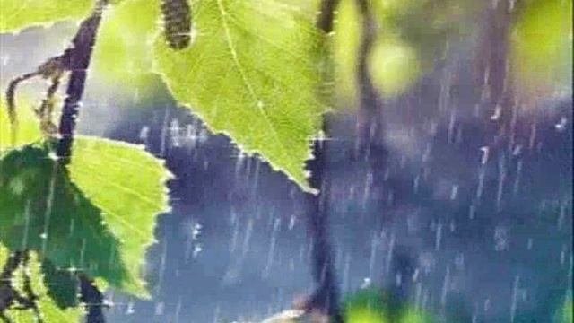 Fantasy Summer Rain