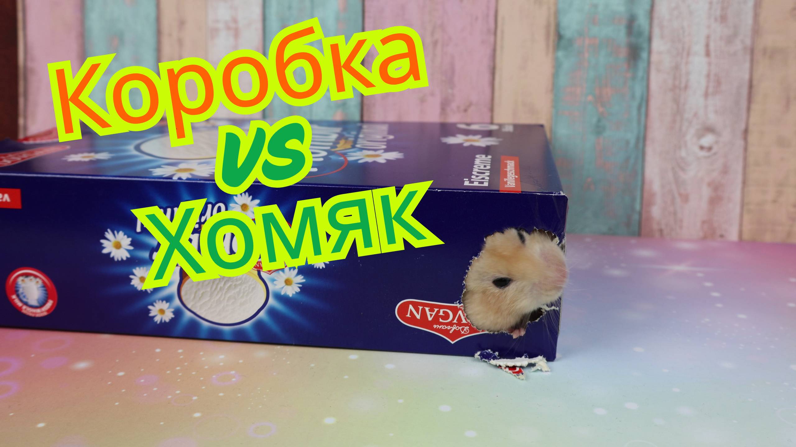 Хомяк рвёться на свободу