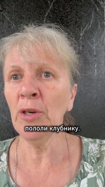 Каждодневные заботы.