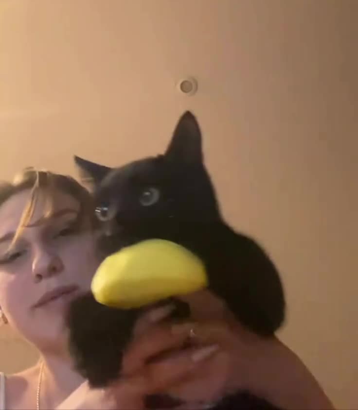 Важные новости