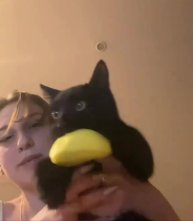 Важные новости