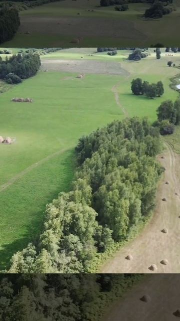 Дьин Сахалар #hunterbult  #shorts #саха #якутия #якуты