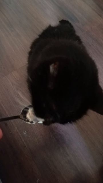 Самый страшный зверёныш на свете