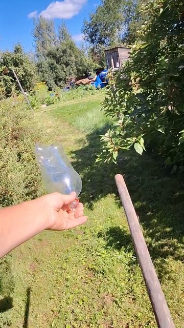 Самоделка приспособление плодосъёмник своими руками #diy #полезныесоветы #хитрости