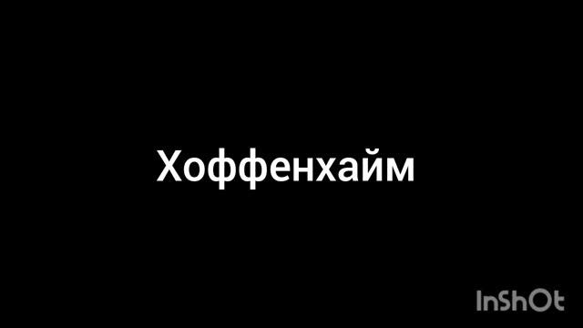 Хоффенхайм