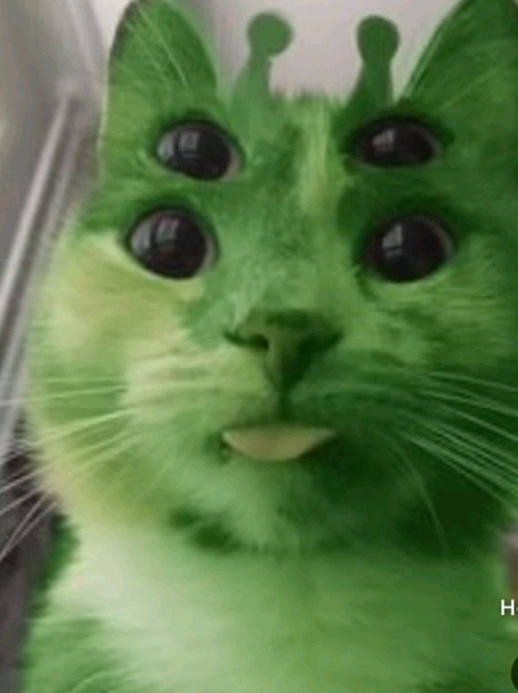 халф лайф 2 эпизод 2