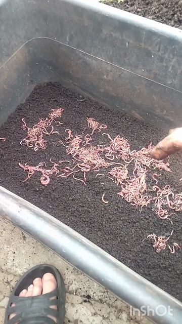 готов к рыбалке!