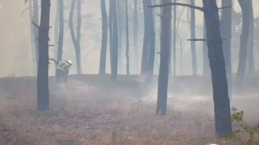 В Станице Луганской в ЛНР в результате пожара повреждены свыше 300 строений