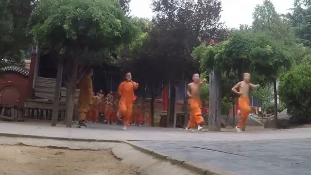A Shaolin Quan Journey Part 1