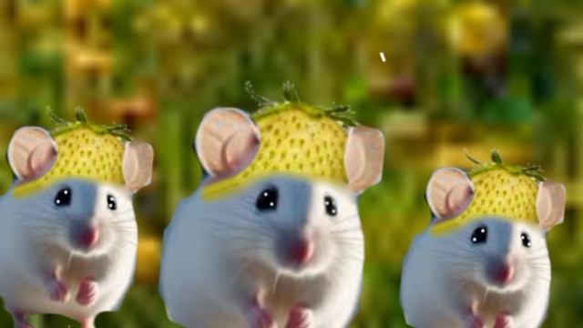 лост бибиби