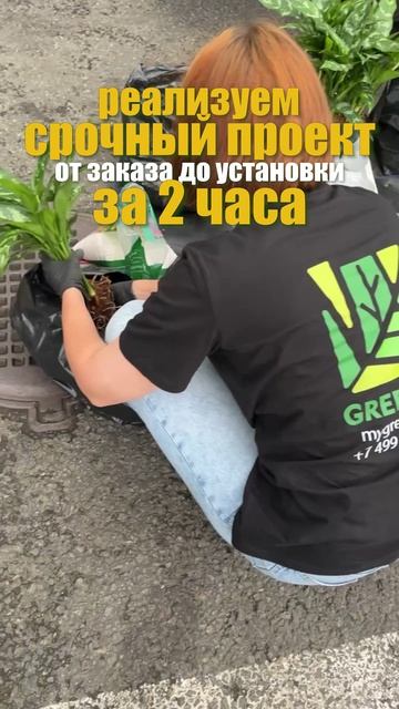 Реализуем срочный проект от заказа до установки за 2 часа.