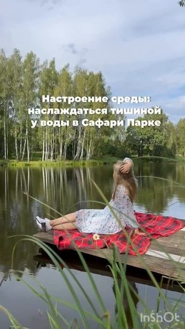 Настроение среды: наслаждаться тишиной в Сафари-парке