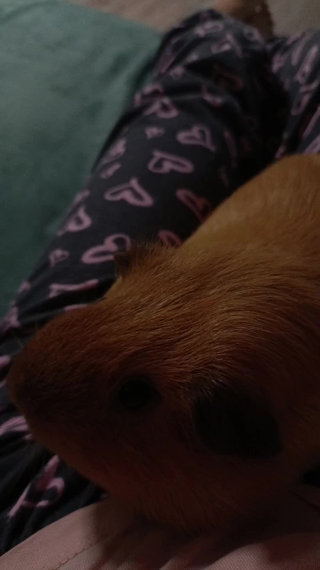 потом удалю