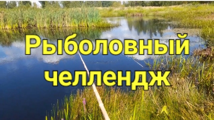 Рыболовный челлендж.