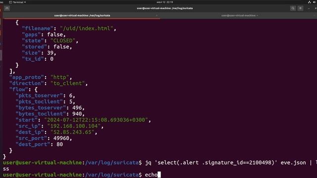 Suricata — это высокопроизводительная система обнаружения вторжений (IDS/IPS).