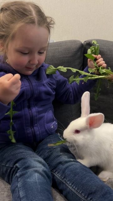 Кормлю кролика Хрумку #ЯжеВика
