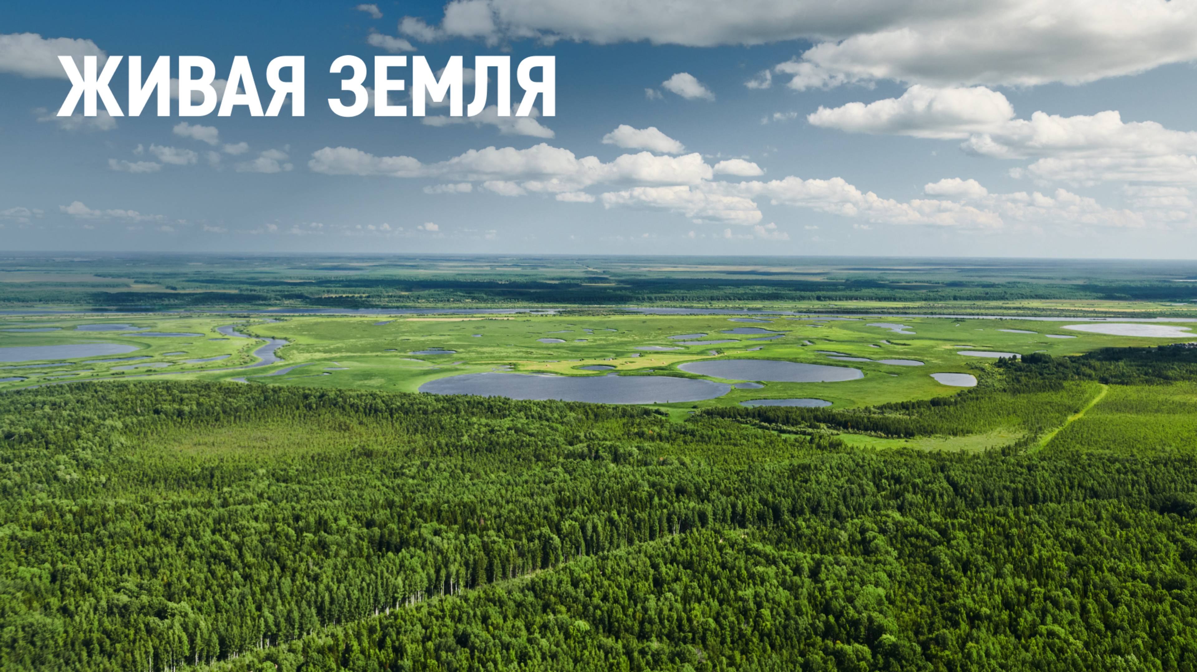 Живая земля