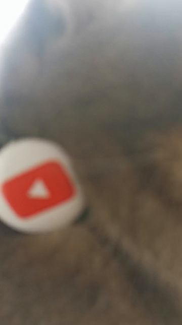 VID_20250820_103839.mp4