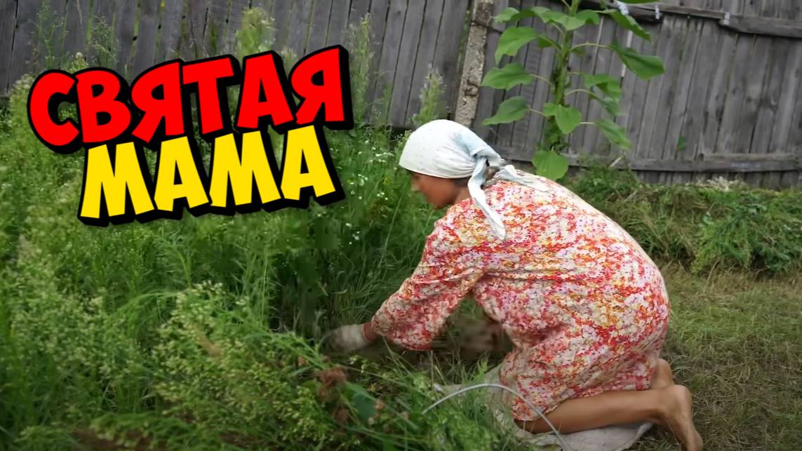 МАМА КОСИТ ДЕТЯМ ОБЕД