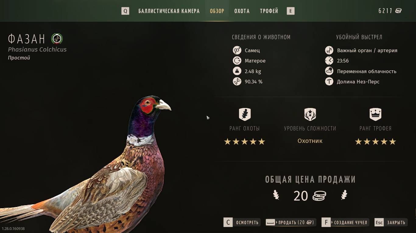 Way of the Hunter - Ещё одна 5_чка