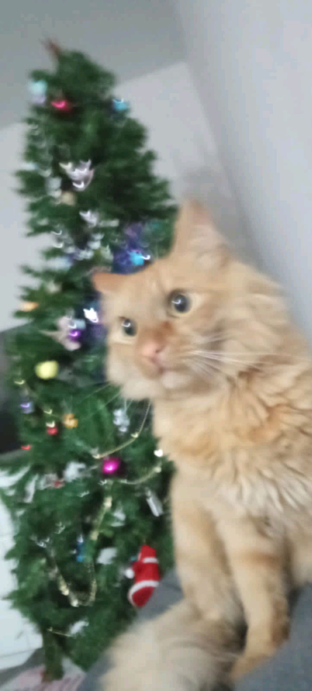 гд стрим 2 👹👹👹👹👹👹👹👹👹