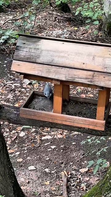 Уфа центр скворечников 😁