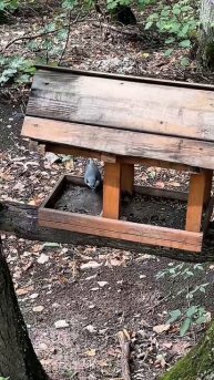 Уфа центр скворечников 😁