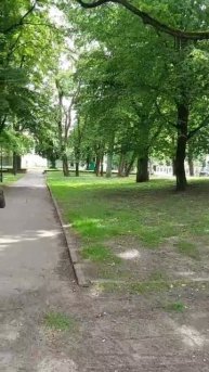 Город-сад на Балтике🌳 #travel #калининград #переезд #россия #море #балтика