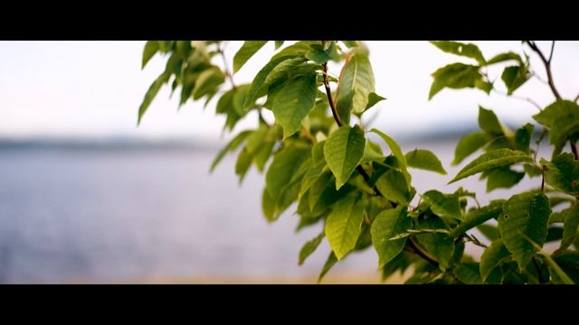 АСМР Север 🌌 Имандра — медитация в звуках природы