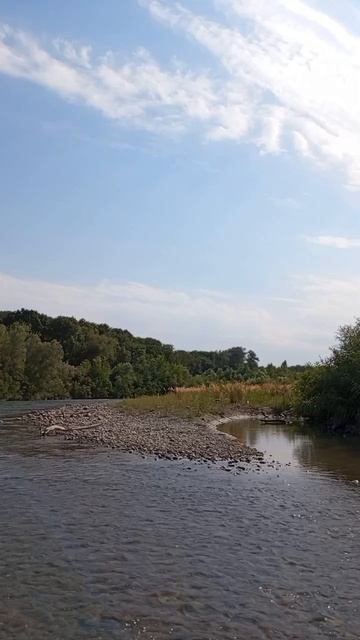 20.08.2025 #сегоднятак #природа #прырода #табиғ #自然 #natureza #natura #자연 #طبيعة #प्रकृति #nature