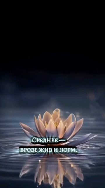 тенденции дня