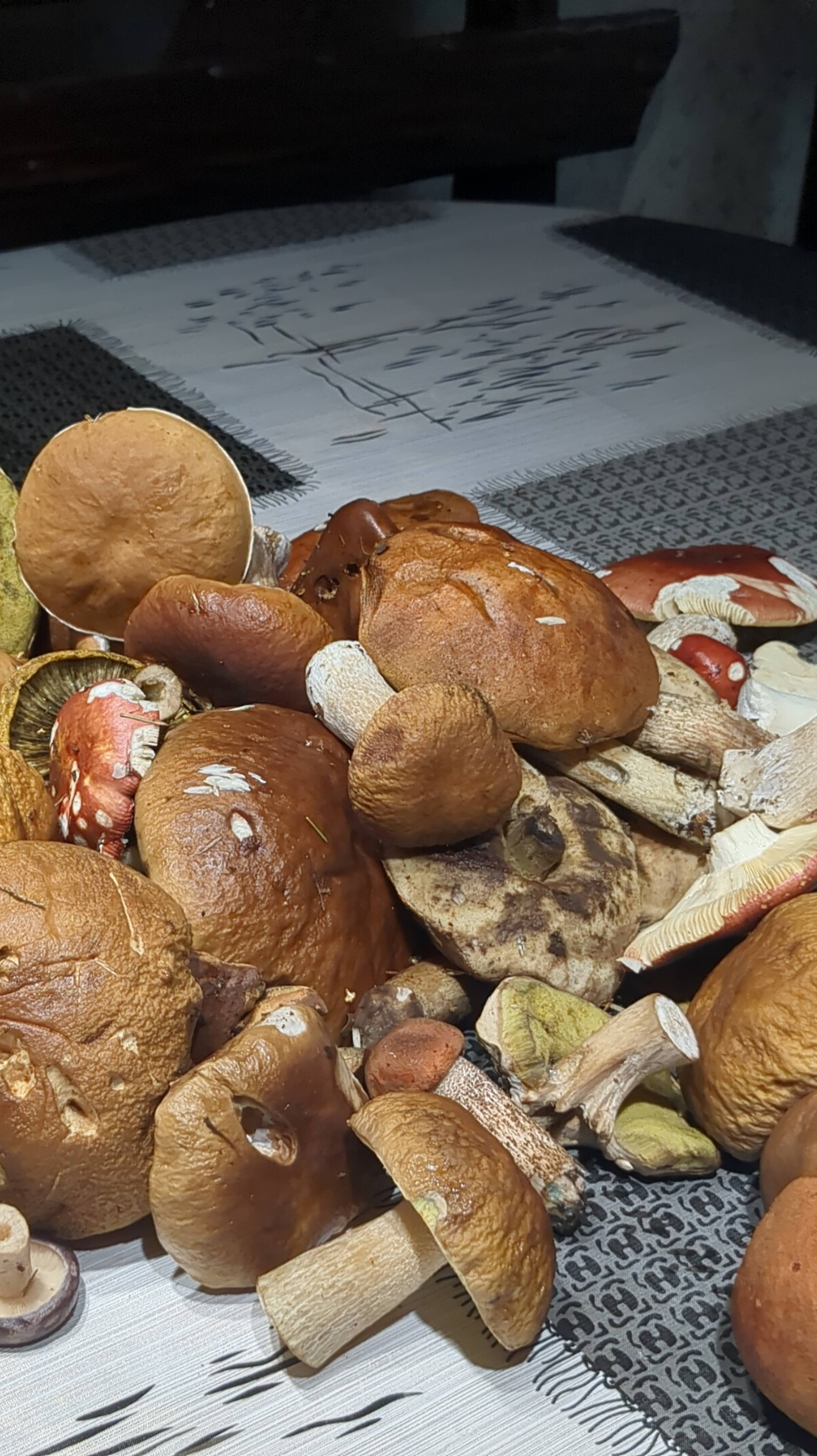 Тихая охота началась. Воробьи клюют сидераты.