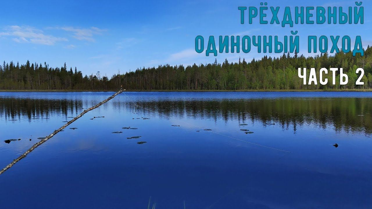 Один в тайге часть 2. Уха на костре. Вторая ночь. Долгий путь домой.