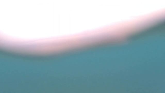 В море с головой