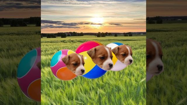 лост мячини песини
