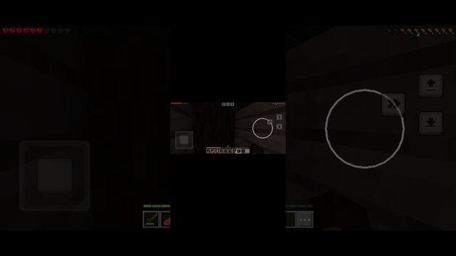 1000087631.mp4