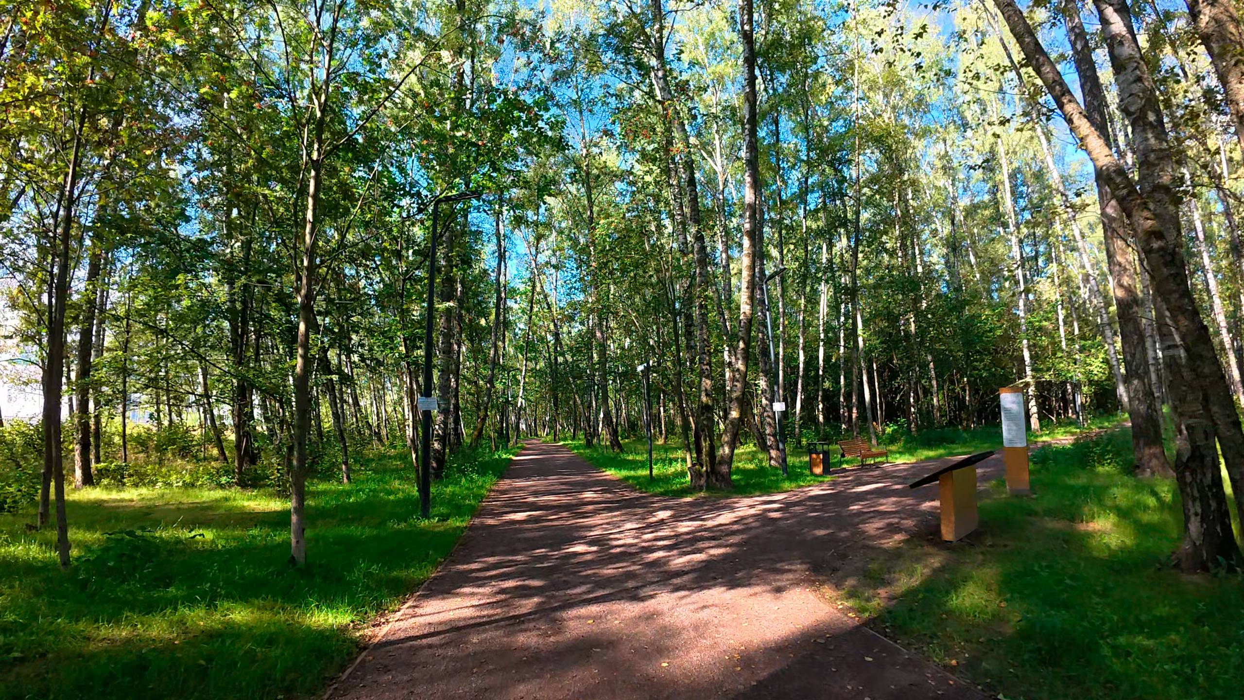 г. Чехов, Парк Губернский (Губернский лес)