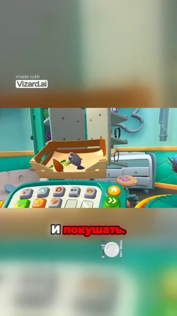 Еноту нужна ласка и подкрепление перед дорогой