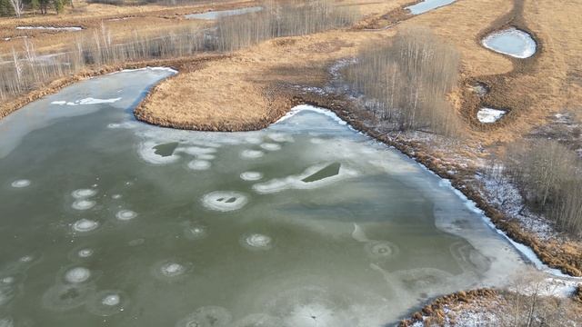 Нижнетавдинский район, (вблизи оз.Среднее)