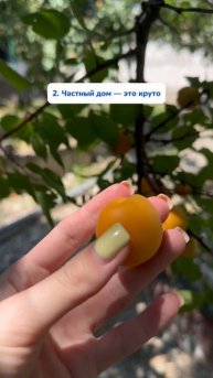 А у вас какие пункты?