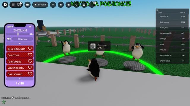 ШКИПЕР ИЩЕТ СВОЮ КОМАННДУ (РЖАКА)