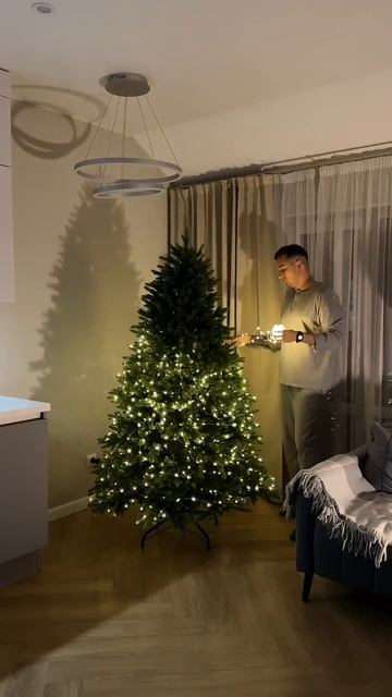 Раз, два, три – ёлочка гори