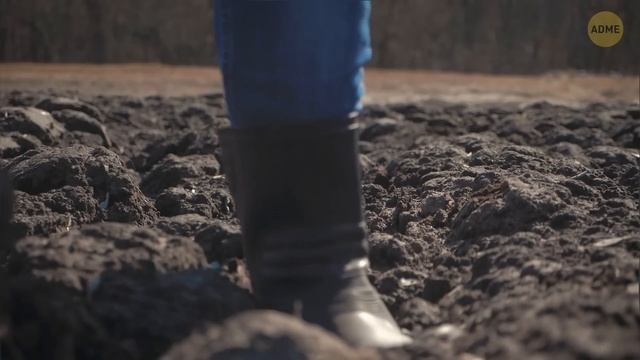 Гавайи тонут в 40 раз быстрее, чем ожидалось — неужели уже слишком поздно?