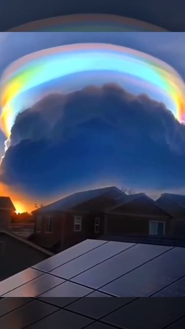 VID_20250820_165904_063.mp4