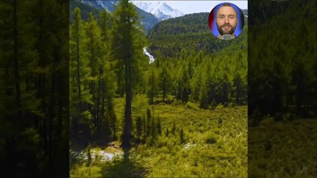 СПАСЕНИЕ ОТ БЕССОННИЦЫ