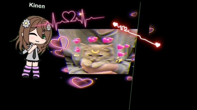 lv_0_20250820135130.mp4